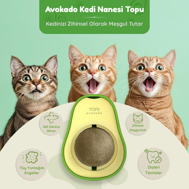 3'ü 1 Arada Avokado Kedi Terapisi Duvar Topu