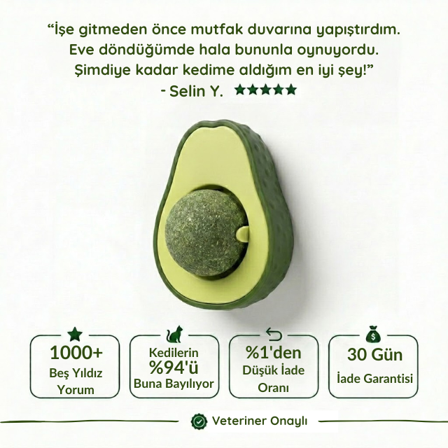 3'ü 1 Arada Avokado Kedi Terapisi Duvar Topu