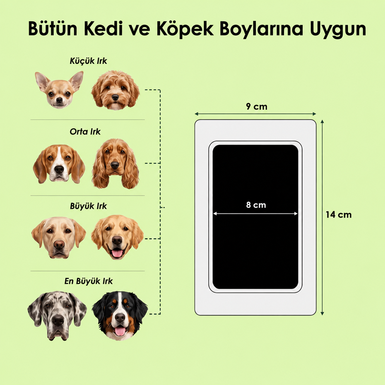 Evcil Hayvan Pati İzi Hatıra Kiti