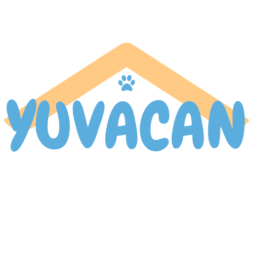 My Store