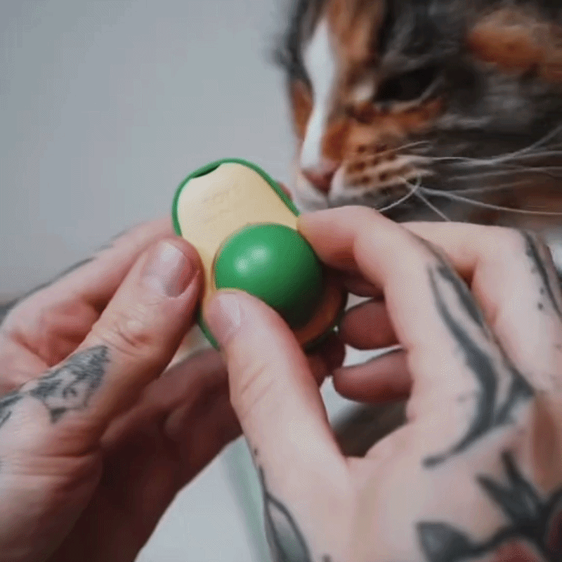 3'ü 1 Arada Avokado Kedi Terapisi Duvar Topu